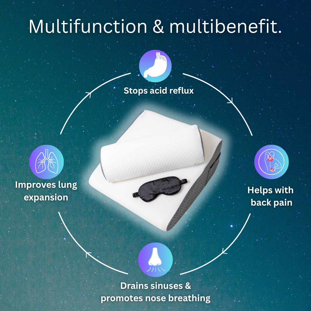 Bemieé™ Wedge Pillow